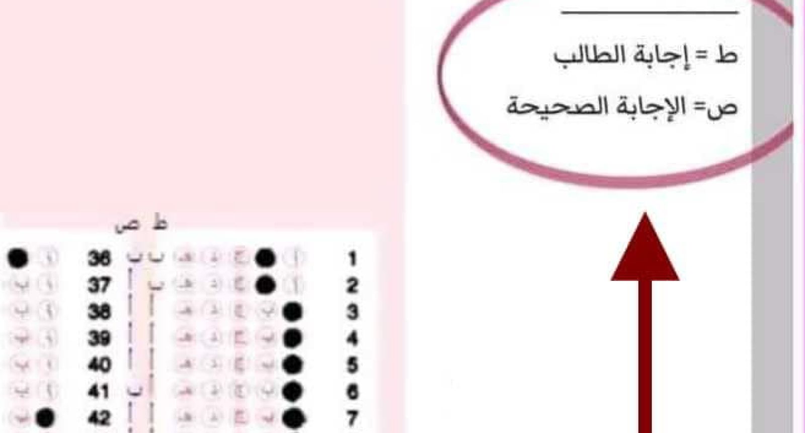 المركز الوطني للامتحانات يطلق خدمة عرض أوراق الإجابة ويحدد شروط قبول الطعن