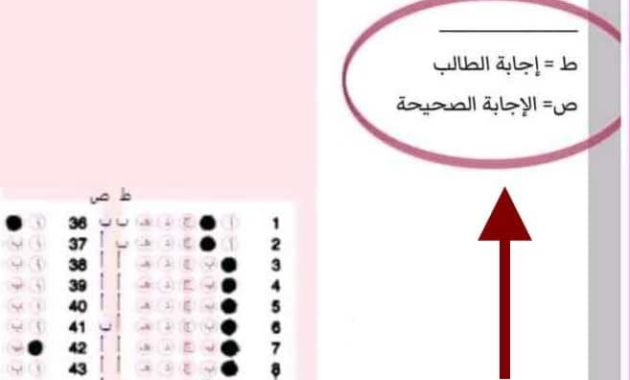 انتهاء خدمة عرض أوراق الإجابة لطلاب الشهادة الثانوية و إيقاف استقبال الطعون في مكاتب الامتحانات